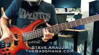 Skjold Gen 5 Bass Videograph