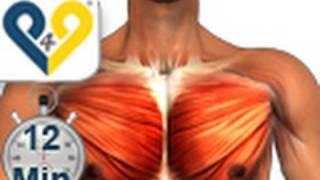 Chest Workout Home Version