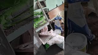 Civil + Interior Soch k lena Decision #makeover #construction #civil