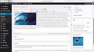 WordPress Posts Training: 5 - Slug and author