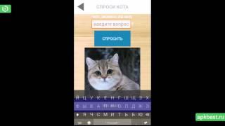 Обзор - Кот советчик симулятор - для Андроид