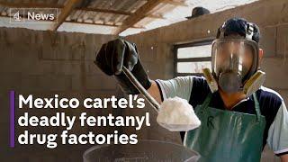 Inside the fentanyl cartel: Mexico crime lords feeding US addiction