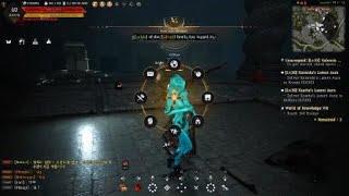 Kzarka perfect run WR (Warrior world boss strategy) - Black Desert PlayStation 4