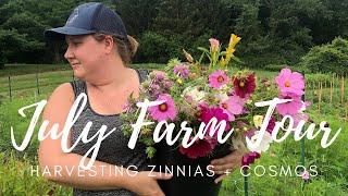 July 2021 Farm Tour // Harvesting Flowers! // Green Bee Floral Co.