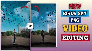 New birds sky png video editing 2023 | vn video editing