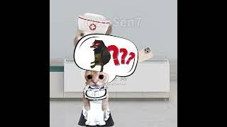 BANANA CAT  BABY 'S MAID IS A PATRON SAINT  P38 #catmemes #cat #bananacat #shorts #fyp