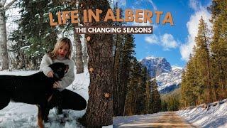 Living in Alberta from Australia | Spray Lake | Kananaskis country | Canada