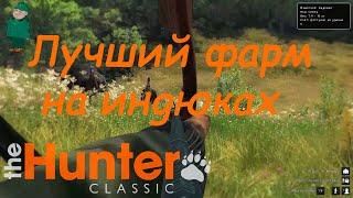 theHunter Classic. Топовое место фарма индюков.