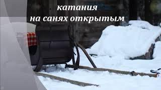 Зима. Сани и лошади