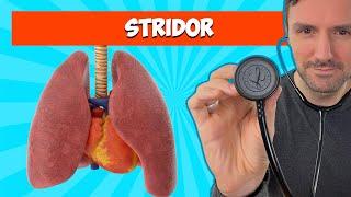 Stridor: Lung Sounds For Beginners  #lungsounds