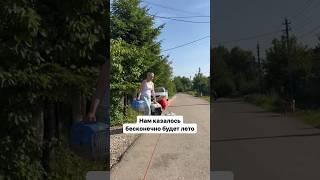 И снова 1 сентября. Наше лето в 30 сек. #животные #кошки