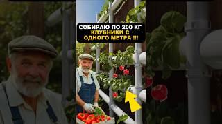 Инновационные грядки из ПВХ труб ‍ #дача #огород #садоводничество
