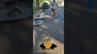 Www.jaycaydogservices.com
