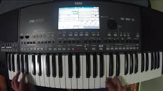 Владимирский централ на синтезаторе cover korg pa600