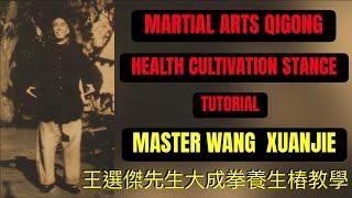 Yiquan Health Cultivation Stance Tutorial #yiquan #dachengquan #wangxuanjie