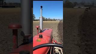 1967 Farmall 140 plowing IHC Chapter 37 plowday #farmall51 #farmall #plowing #plowday