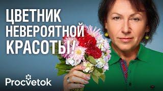 ТОП-12 КРАСИВЕЙШИХ ОДНОЛЕТНИХ ЦВЕТОВ, которые стоит посадить в 2025 году!