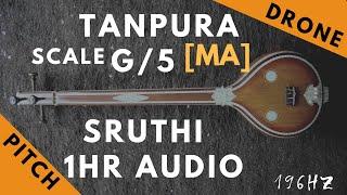 Tanpura Sruthi - Drone - G Scale or 5 Kattai - Ma (Madhyamam/ Madhyam) - 196Hz