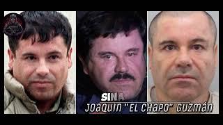 Operation Black Swan: The Hunt To Capture El Chapo