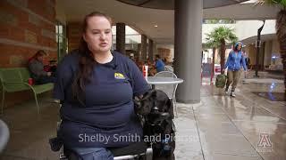 UANews Working Dogs