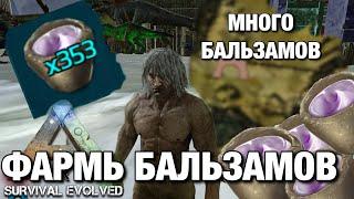 ГАЙД КАК ПОЛУЧИТЬ МНОГО БАЛЬЗАМОВ ДЛЯ ПРИРУЧЕНИЯ В ARK MOBILE!!! ГДЕ ВЗЯТЬ УСПОКАИВАЮЩИЙ БАЛЬЗАМ Ar