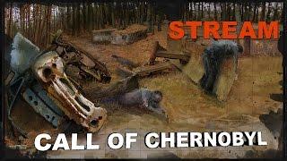 S.T.A.L.K.E.R: Call of Chernobyl 1.4.19 (Сборка от stason174rus) [Stream]