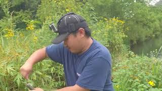 trout fishing catch n cook #cookingtrout