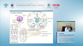 Патобиология респираторной системы у больных с COVID-19 (Чучалин А.Г.)