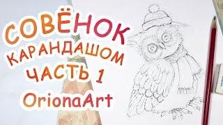 Рисую СОВЁНКА карандашом ► OrionaArt  Рисуем вместе!