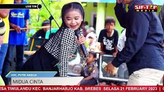 Midua Cinta Cover Putri Amelia Organ Dangdut Tarling YUNA MUSIC