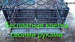 Бюджетная клетка для перепелов своими руками