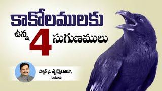 కాకోలములకు ఉన్న 4 సుగుణములు - Telugu Christian Message By Pastor. Prudhvi Raju