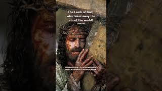 #Genesistorevelation#sonofGod#sinofworldoncross#victoryoversindeathhell #assurance#peace#security