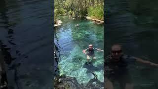 I CANT BELIEVE HOW CLEAR THIS WATER IS #thegreyingnomads #bittersprings #northernterritory #clear