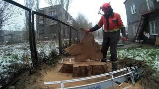 Распиливание корня на слэбы/Sawing the root into slabs