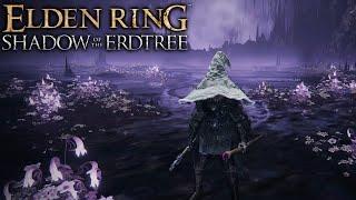 Reach For The Top! | Elden Ring: Shadow of the Erdtree Edition Ep. 33