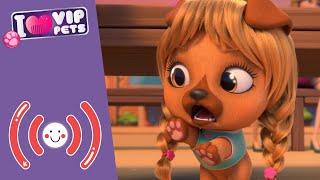 WHAT A FRIGHT! ⭐️ VIP PETS  SUPER HAIR ‍️ LIVE  CARTOONS in ENGLISH