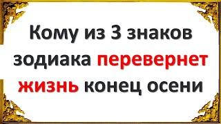 Кому из 3 знаков зодиака перевернет жизнь конец осени