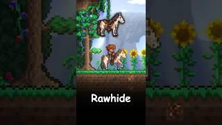 EVERY PRE-HARDMODE MOUNT in TERRARIA