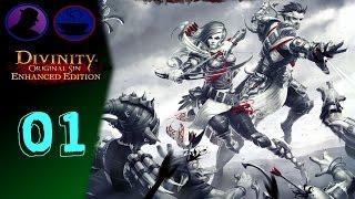 Let's Play Divinity Original Sin Enhanced Edition - Part 1 - Rogue & Battlemage!