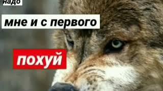 мне два раза повторять не надо мне и с первого похуй