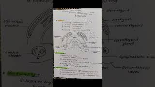 thyroid gland handwritten notes #mbbs #anatomyvideos #anatomy #bams #reels #notes #viral #nursing