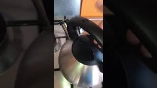 Обзор Чайник для плиты Tefal C7921024 из Сулпак