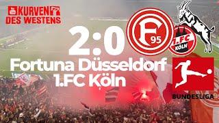 Die Süd-tribüne Explodiert! Fortuna Düsseldorf - 1.FC Köln (2:0) 03.11.2019 Tore & Highlights