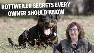 Working Rottweiler Secrets: What Every Owner Needs to Know