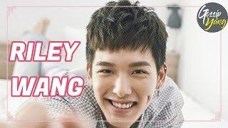 All About RILEY WANG |  Top 7 Interesting Facts about Riley Wang 王以綸