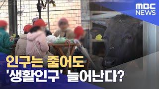 인구는 줄어도 '생활인구' 늘어난다? (2025.06.20/뉴스데스크/전주MBC)