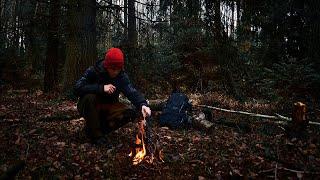 СОЛО БУШКРАФТ В ЛЕСУ. НАЕДИНЕ С ПРИРОДОЙ. ЛЕСНОЙ ЧАЙ. БЕЛАРУСЬ 2019 / Solo bushcraft in the forest.