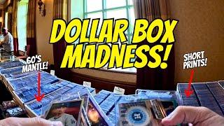 CARD SHOW DOLLAR BOX GOLDMINE!