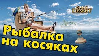 Black Desert (RU) - Фарм серебра. Топовая Рыбалка. Где найти косяк.